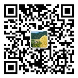浙江风彩网